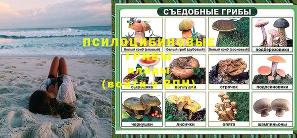 не бодяженный Арсеньев