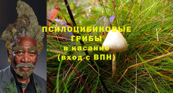 прущие крисы Баксан