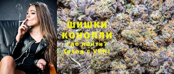 прущие грибы Балабаново