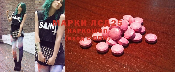 прущие грибы Балабаново