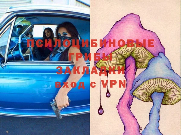 прущие грибы Балабаново