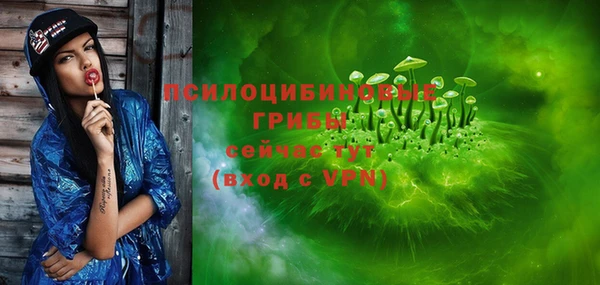 прущие грибы Балабаново