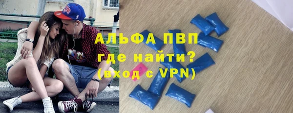 прущие грибы Балабаново