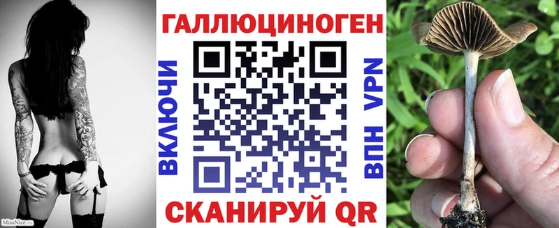 Купить  Красноуральск  Галлюциногенные грибы мицелий 