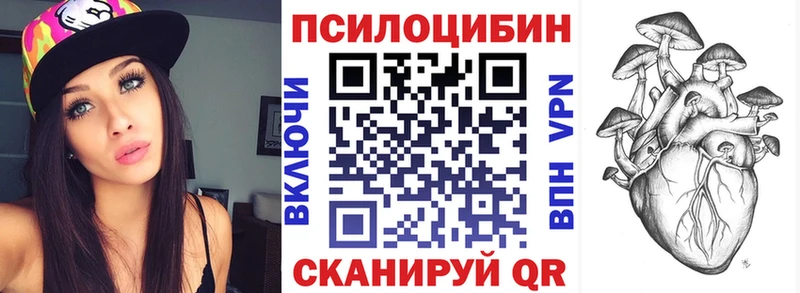 Галлюциногенные грибы Psilocybine cubensis Красноуральск